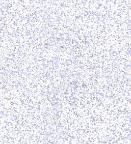 1591146459305896.jpg 1546585509(3)_看图王.jpg